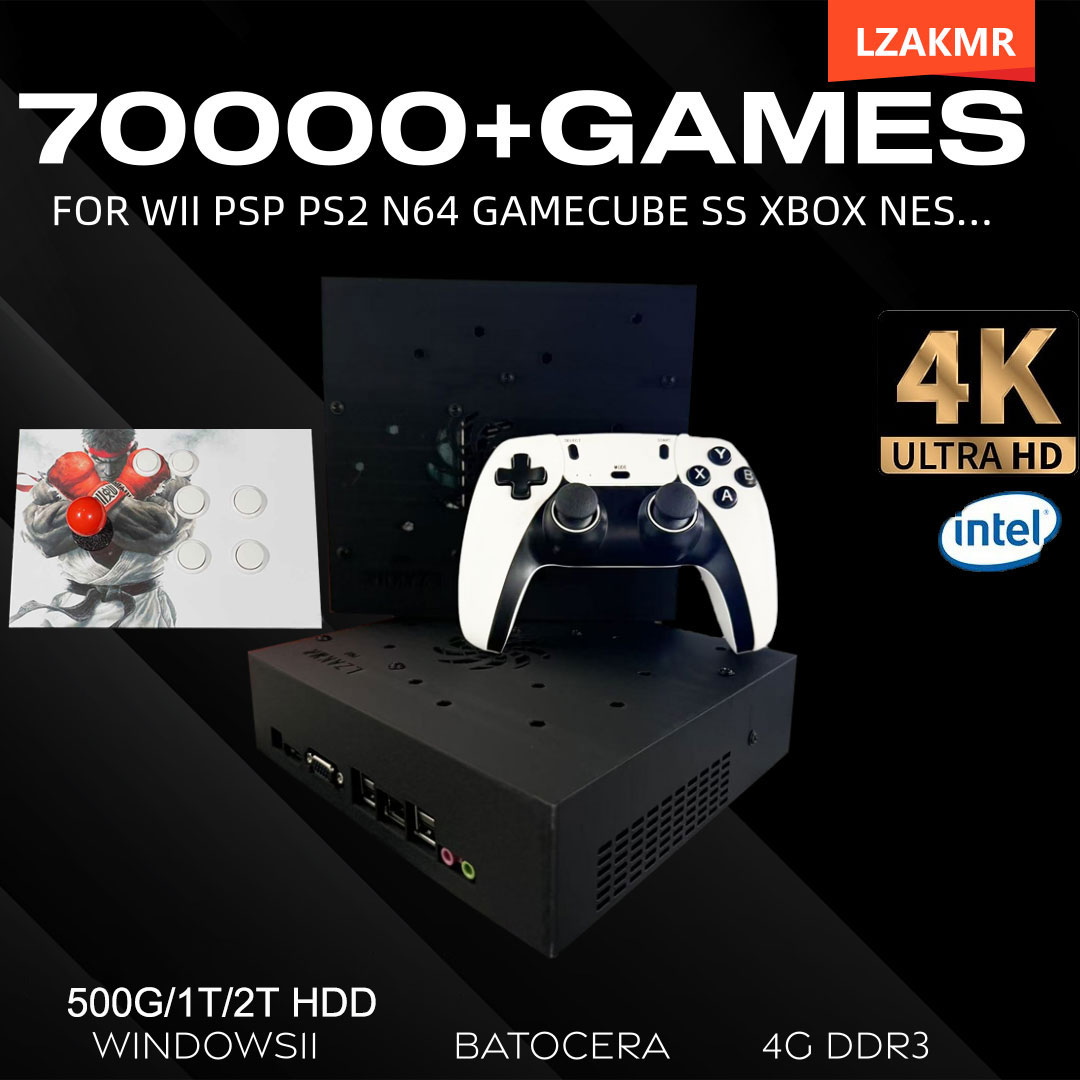 레트로 게임 콘솔 70000+ 게임 2TB T8 Wii - Retro Gaming For Windows 리뷰 및 가격